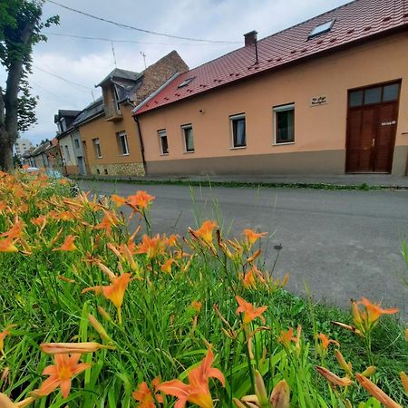 Kis Rigo Vendeghaz Hotel Salgotarjan Exterior photo