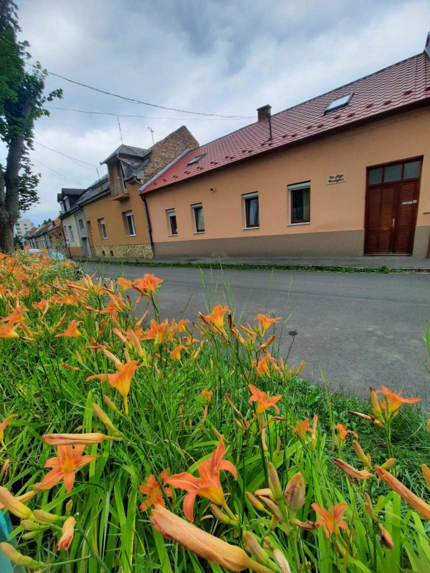 Kis Rigo Vendeghaz Hotel Salgotarjan Exterior photo